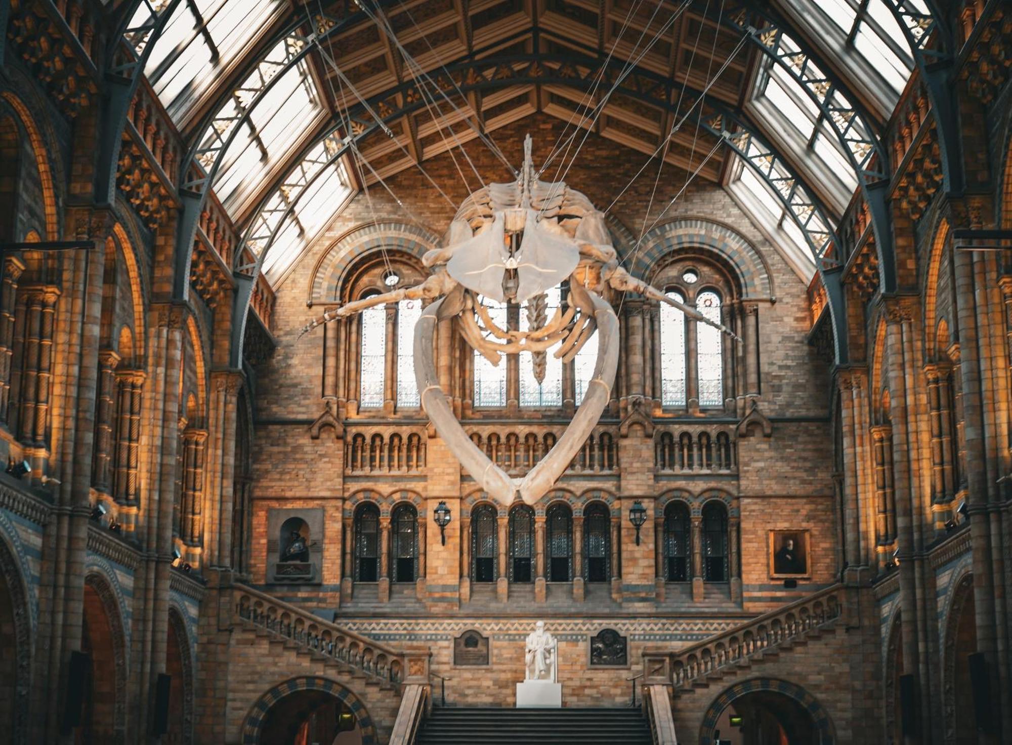 Collingham Place Apartments Londen Buitenkant foto